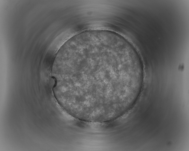 X0000112470897200909281043