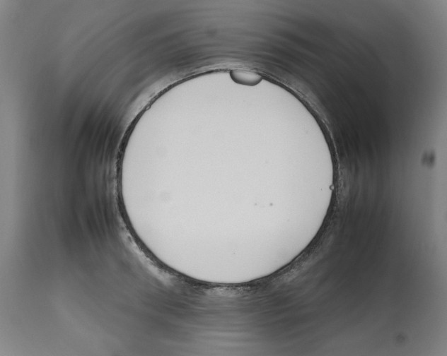 X0000112470898200909281043