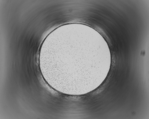 X0000112470900200909281043