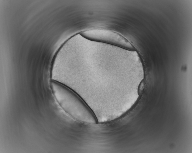 X0000112470904200909281043