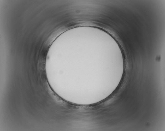 X0000112470905200909281043