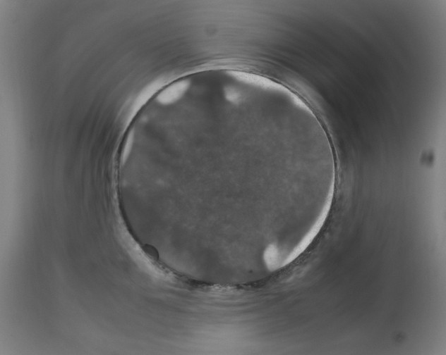 X0000112470907200909281043