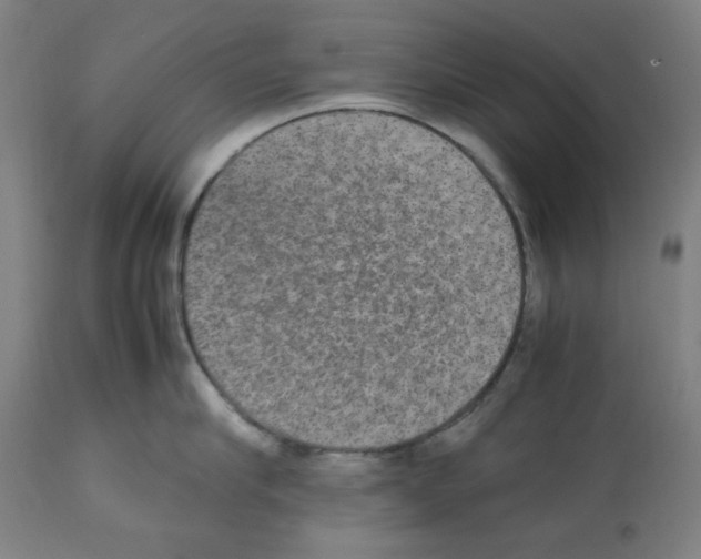 X0000112470910200909281042