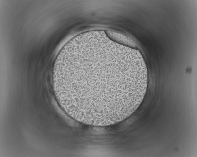 X0000112470911200909281042