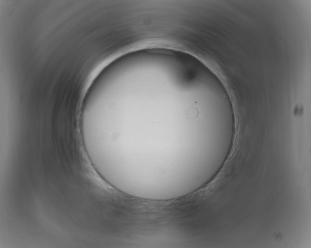 X0000112470912200909281042