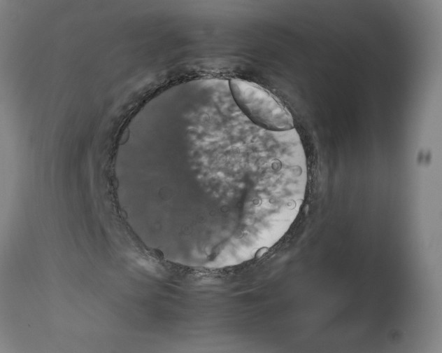 X0000112470913200909281042