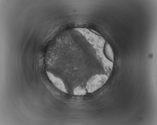 X0000112470914200909281042