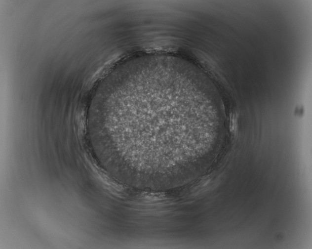 X0000112470915200909281042