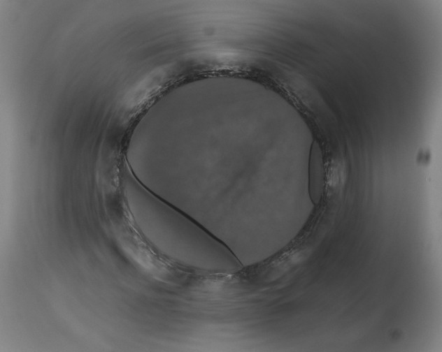 X0000112470916200909281042