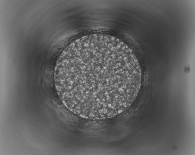 X0000112470917200909281042
