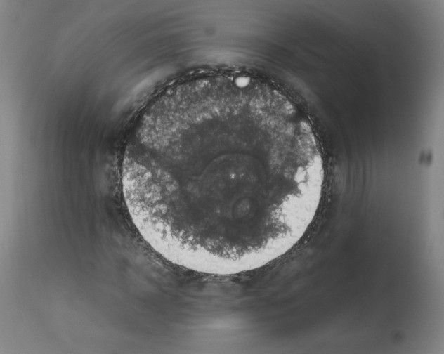 X0000112470918200909281042