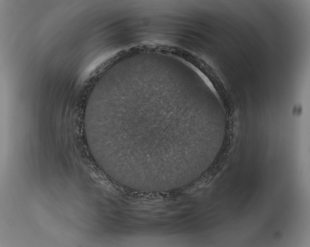 X0000112470919200909281042