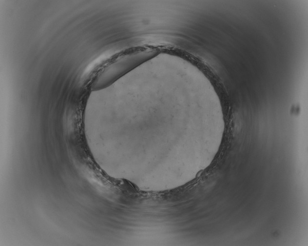 X0000112470920200909281042