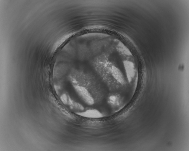X0000112470921200909281042