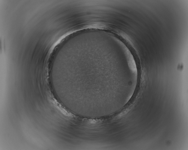 X0000112470923200909281042