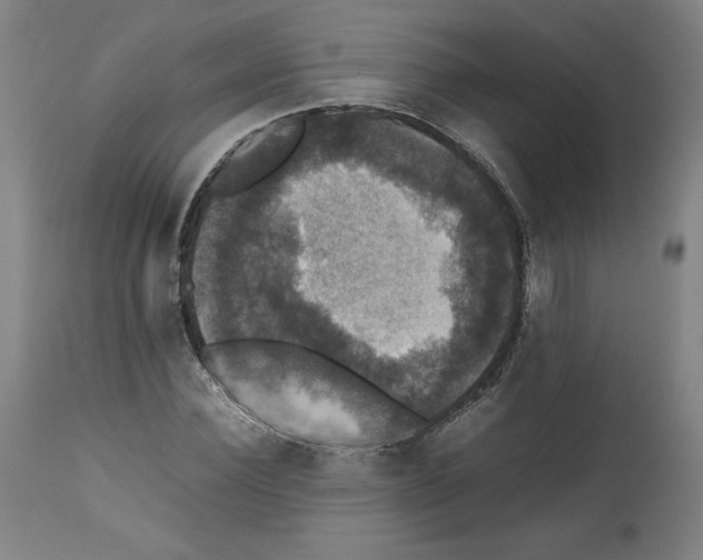 X0000112470924200909281042