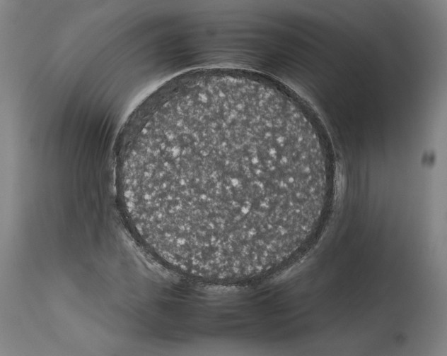 X0000112470925200909281042