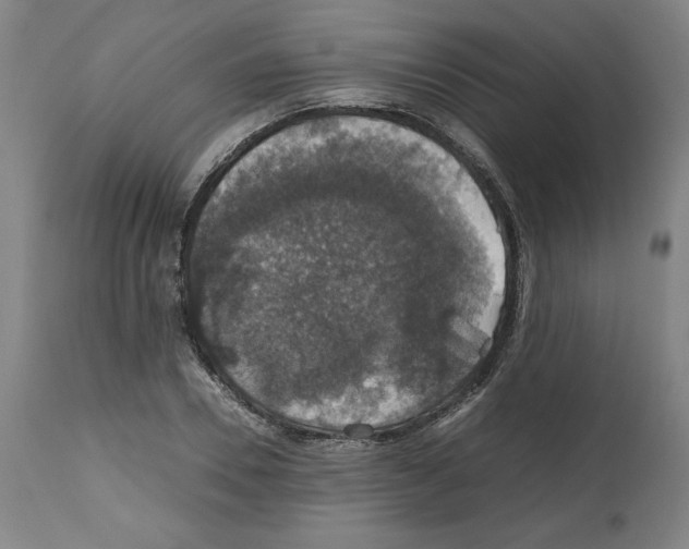 X0000112470930200909281042