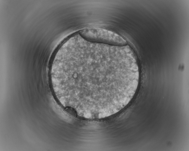 X0000112470932200909281042