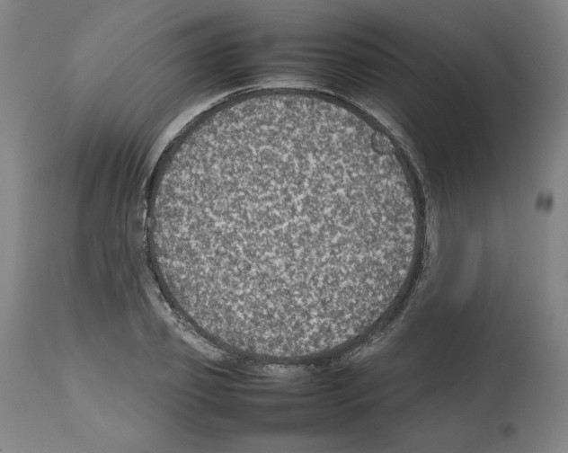 X0000112470933200909281042