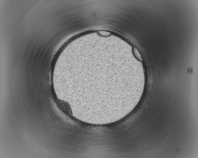 X0000112470934200909281042