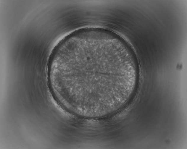 X0000112470935200909281042