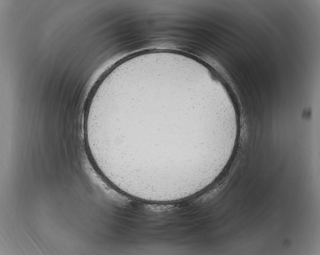 X0000112470939200909281042