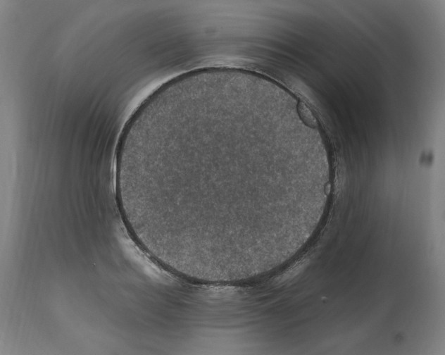 X0000112470940200909281042