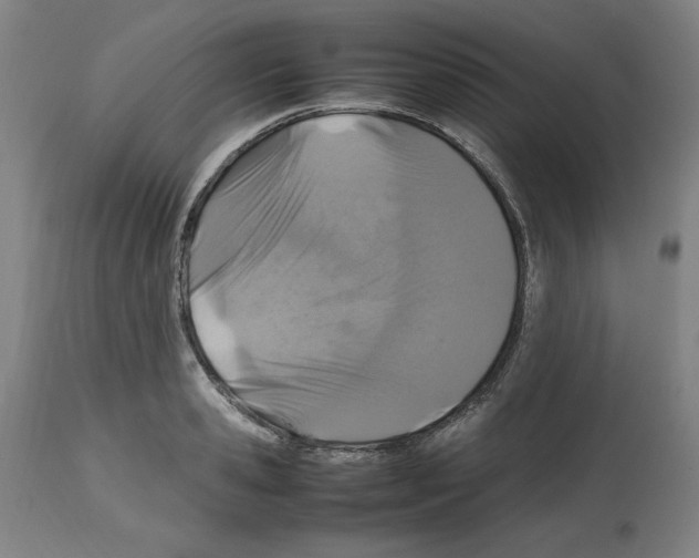X0000112470941200909281042
