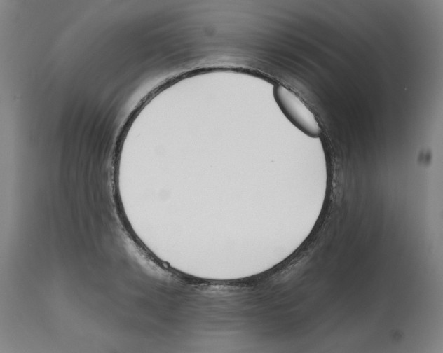 X0000112470942200909281042