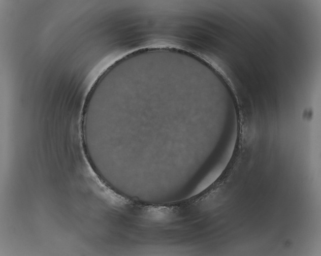 X0000112470943200909281042