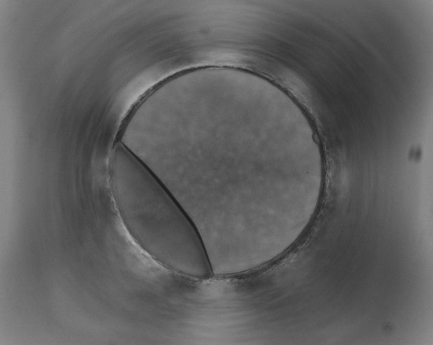 X0000112470944200909281042