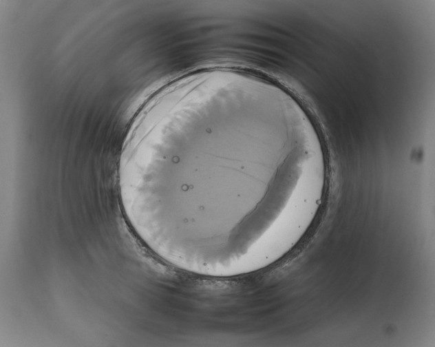X0000112470945200909281042