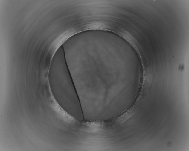 X0000112470946200909281042