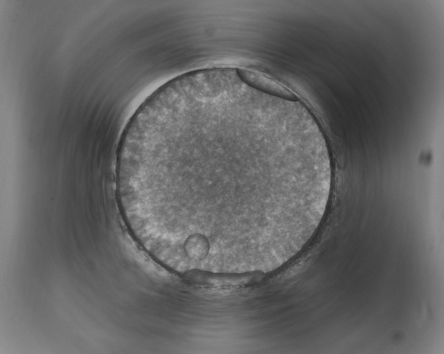 X0000112470948200909281042