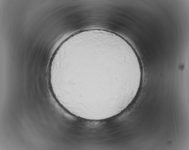 X0000112470949200909281042
