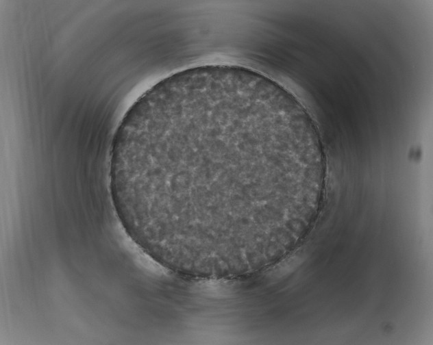 X0000112470950200909281042