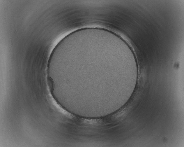X0000112470951200909281042