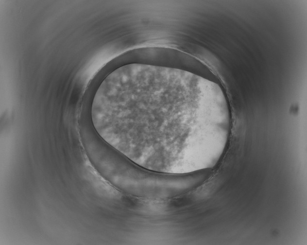 X0000112470952200909281042
