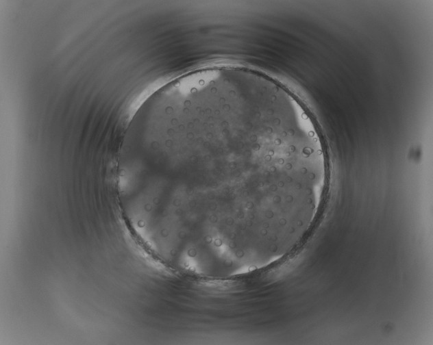 X0000112470953200909281042