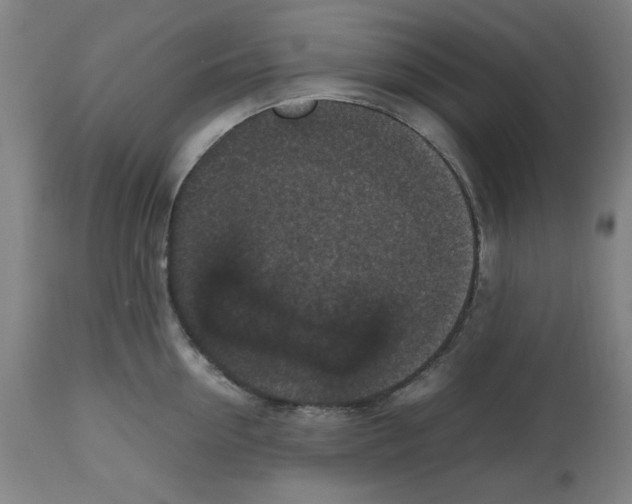 X0000112470954200909281042