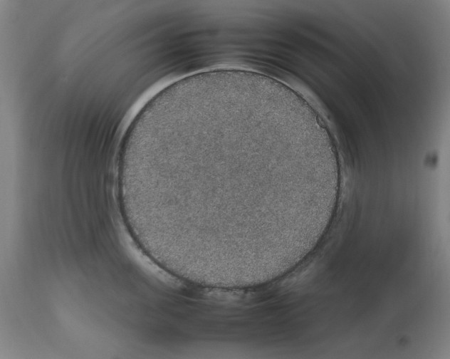 X0000112470955200909281042