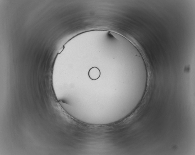 X0000112470956200909281042