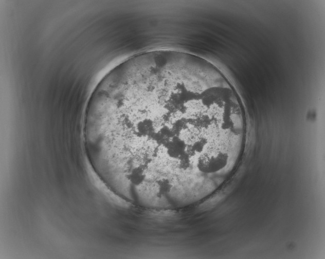 X0000112470957200909281042