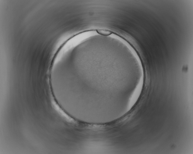 X0000112470958200909281042