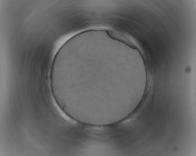 X0000112470959200909281042