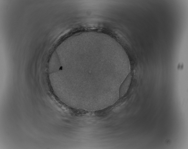 X0000112470961200909281042