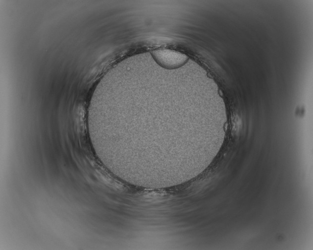 X0000112470964200909281042