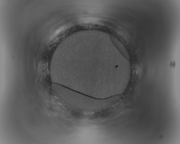 X0000112470965200909281042
