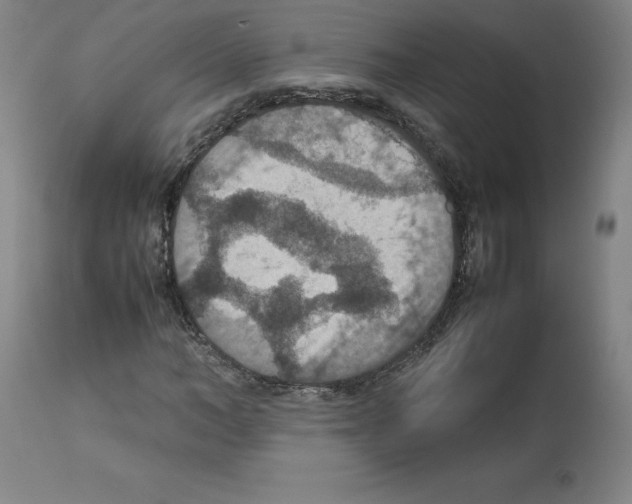 X0000112470966200909281042